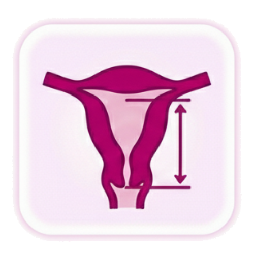 Cervical Length Scan