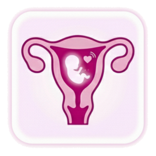 Early Pregnancy Scan