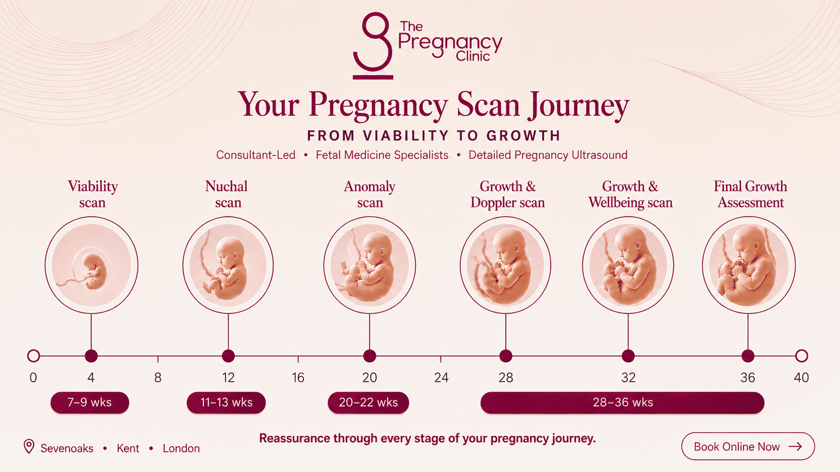 Pregnancy scans