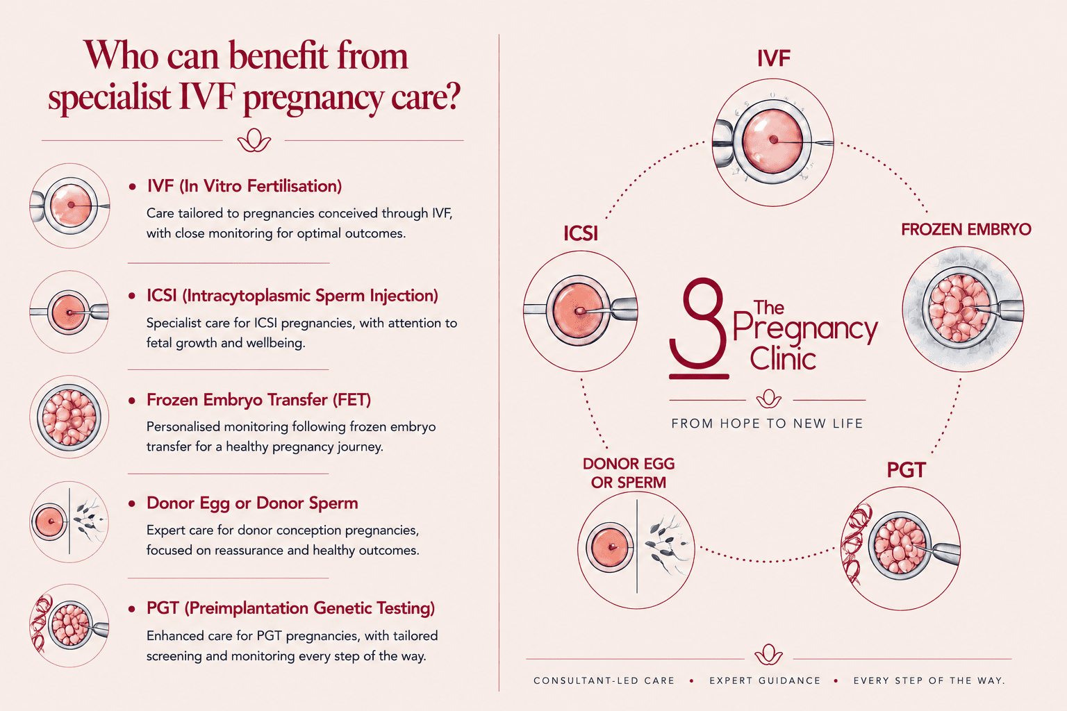 IVF Pregnancy Care Image - 13