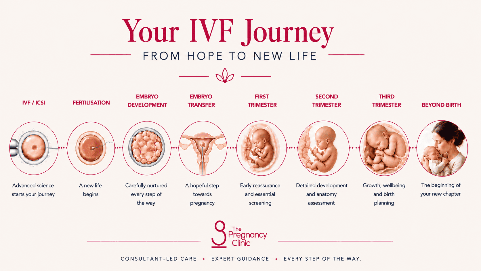 IVF Pregnancy Journey