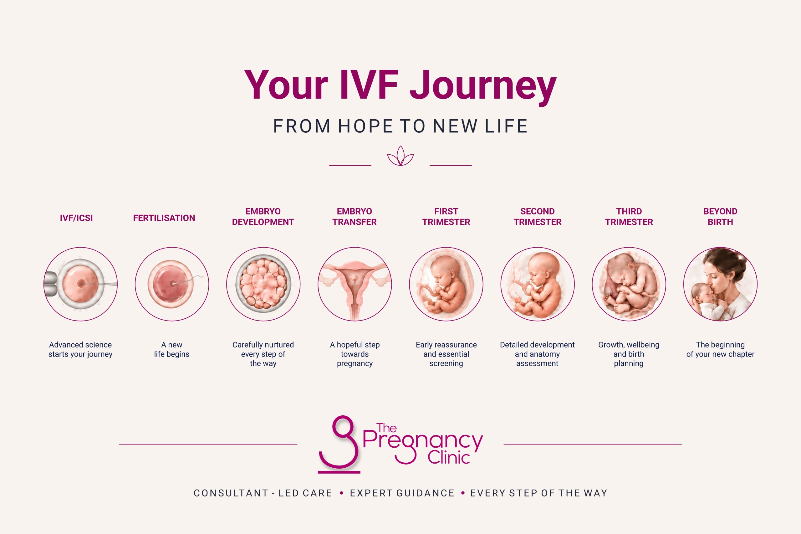 IVF Pregnancy Care Image