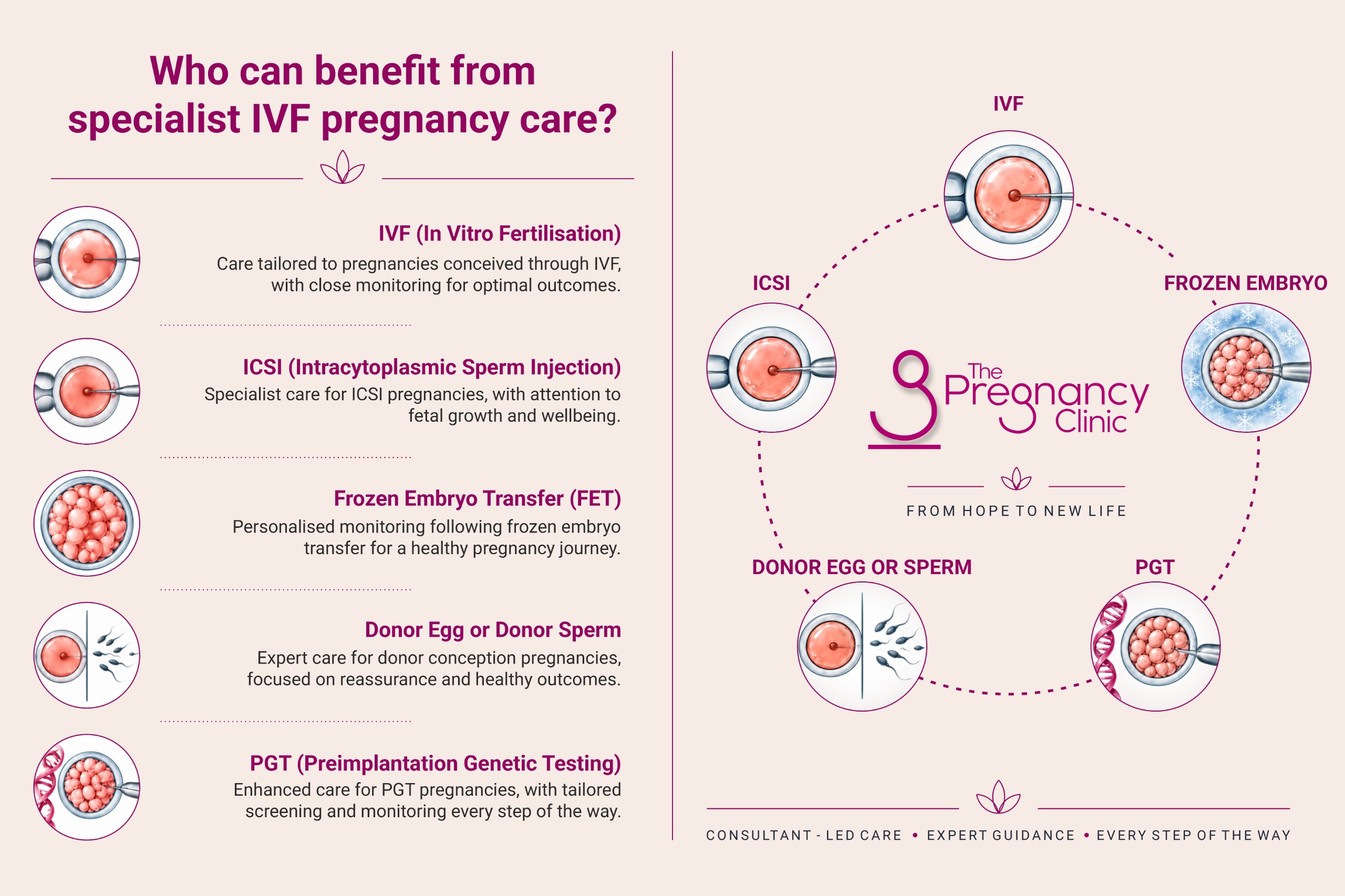 IVF Pregnancy Care Image